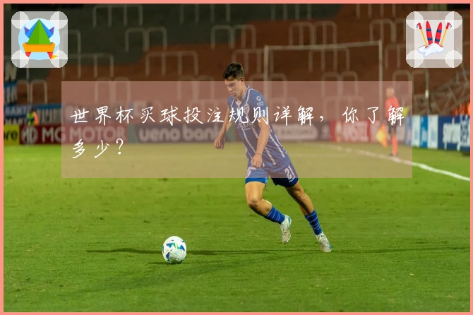 世界杯买球投注规则详解，你了解多少？