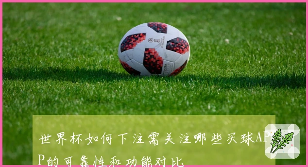 世界杯如何下注需关注哪些买球APP的可靠性和功能对比
