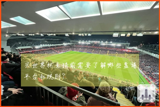 买世界杯竞猜前需要了解哪些靠谱平台和规则？