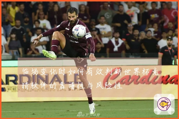 临场变化时如何有效判断世界杯竞猜软件的靠谱性与风险性