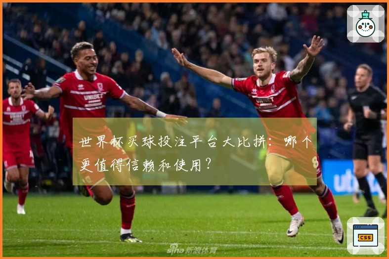 世界杯买球投注平台大比拼:哪个更值得信赖和使用?