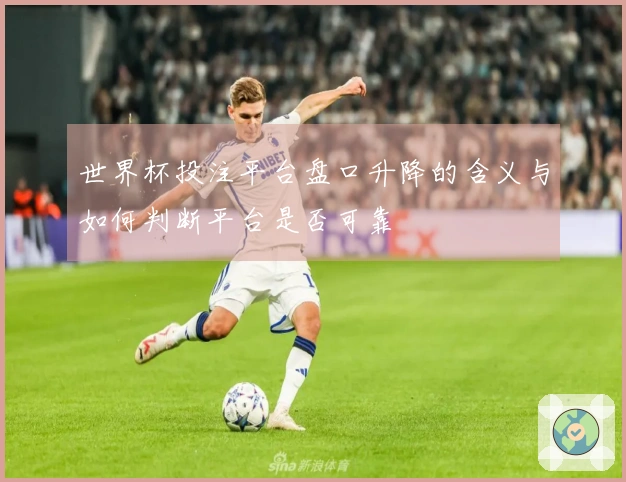 世界杯投注平台盘口升降的含义与如何判断平台是否可靠