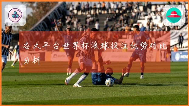各大平台世界杯滚球投注优势对比分析