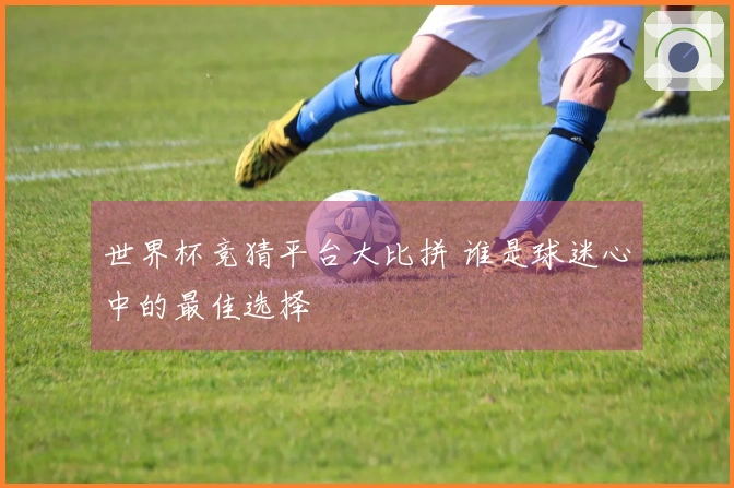 世界杯竞猜平台大比拼 谁是球迷心中的最佳选择