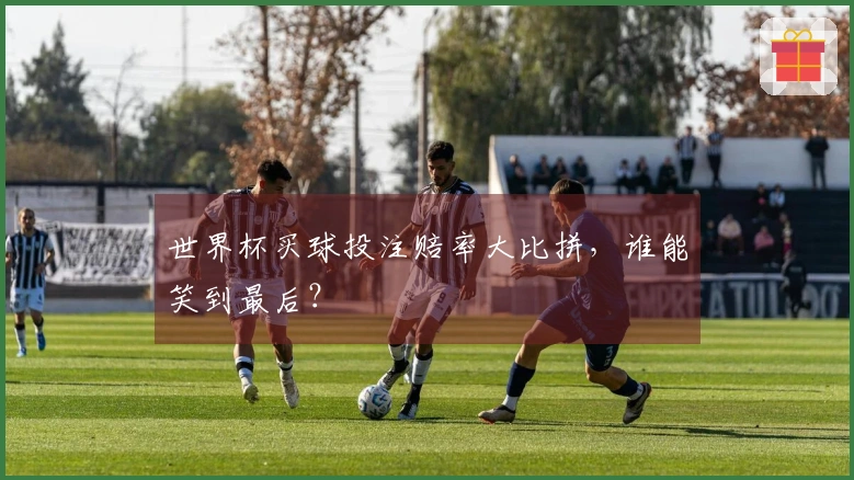 世界杯买球投注赔率大比拼，谁能笑到最后？