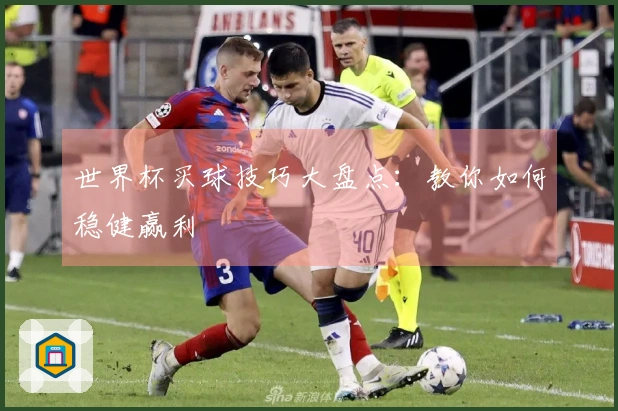 世界杯买球技巧大盘点：教你如何稳健赢利