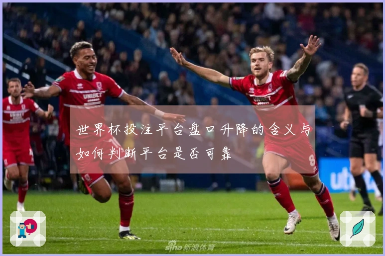 世界杯投注平台盘口升降的含义与如何判断平台是否可靠