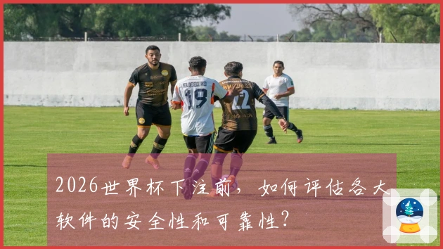 2026世界杯下注前，如何评估各大软件的安全性和可靠性？