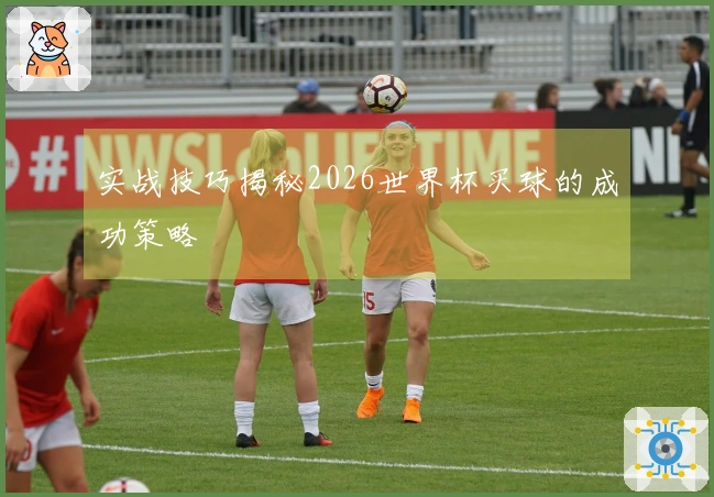 实战技巧揭秘2026世界杯买球的成功策略