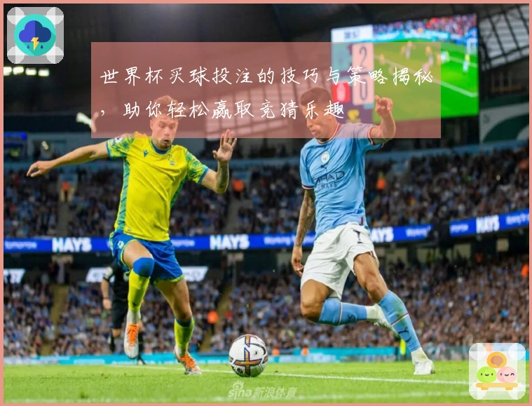 世界杯买球投注的技巧与策略揭秘，助你轻松赢取竞猜乐趣