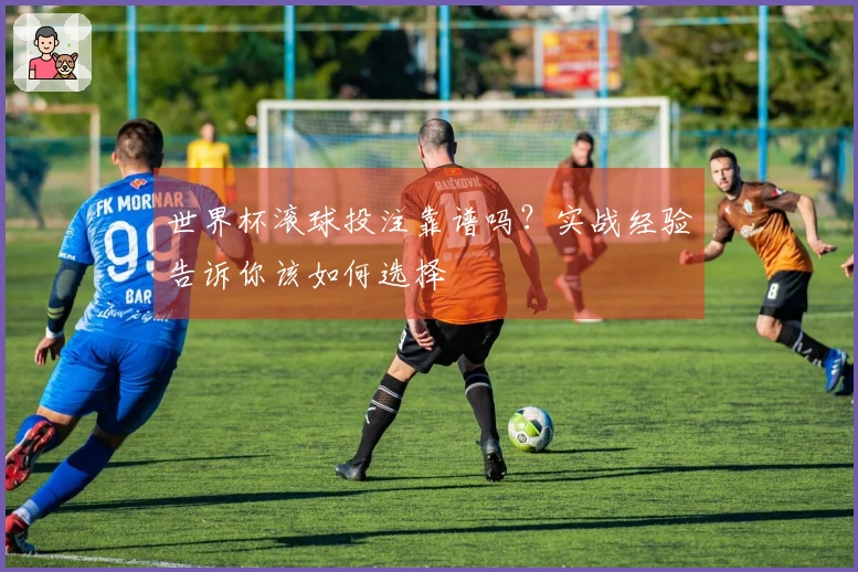 世界杯滚球投注靠谱吗？实战经验告诉你该如何选择
