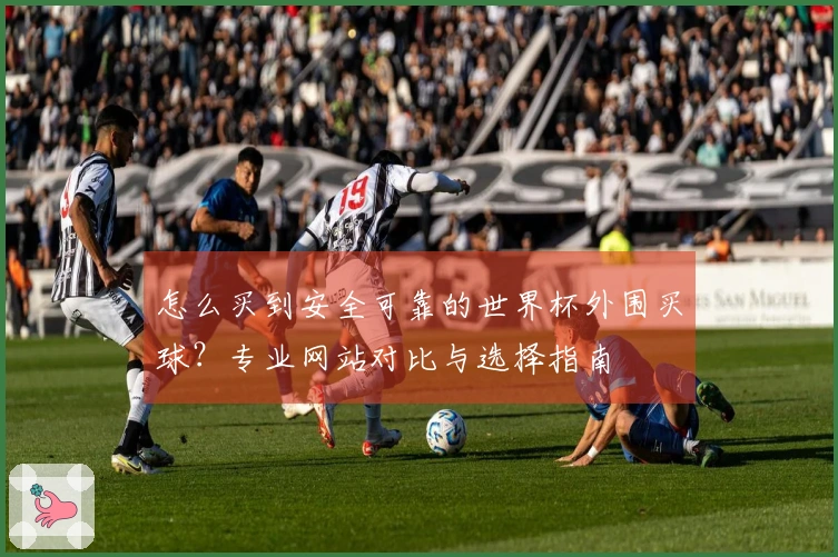 怎么买到安全可靠的世界杯外围买球？专业网站对比与选择指南