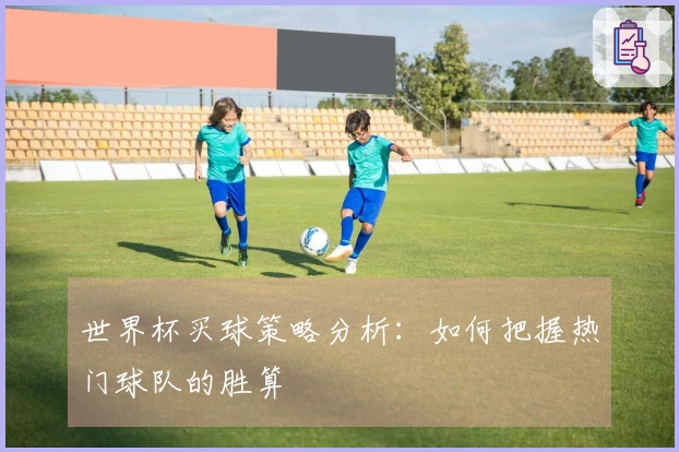 世界杯买球策略分析:如何把握热门球队的胜算