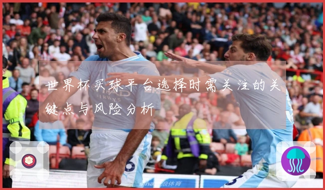 世界杯买球平台选择时需关注的关键点与风险分析
