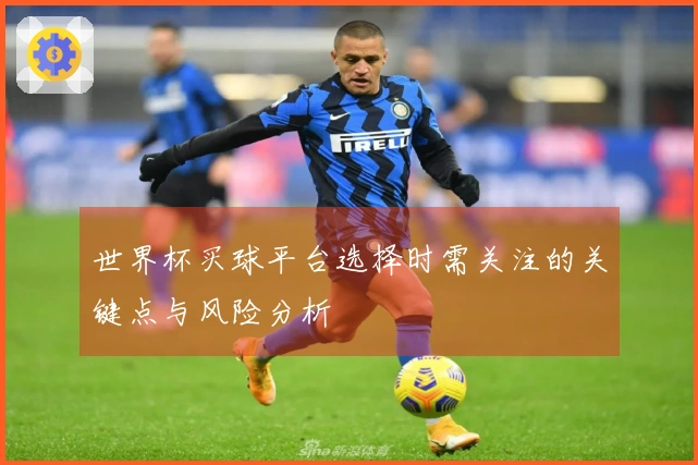 世界杯买球平台选择时需关注的关键点与风险分析