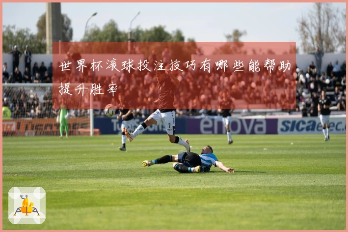 世界杯滚球投注技巧有哪些能帮助提升胜率