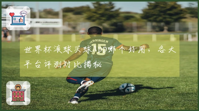 世界杯滚球买球App哪个好用，各大平台评测对比揭秘