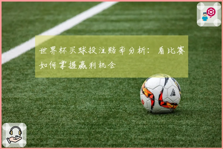 世界杯买球投注赔率分析：看比赛如何掌握赢利机会